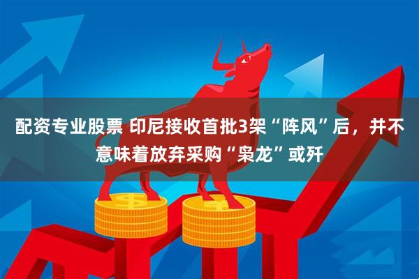 配资专业股票 印尼接收首批3架“阵风”后，并不意味着放弃采购“枭龙”或歼